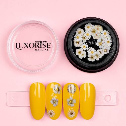 Decoratiuni Unghii Nail Art LUXORISE - Flower Flavours