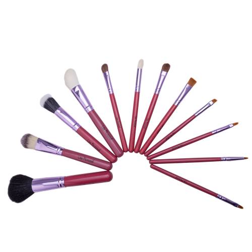Set 12 pensule makeup - Lila Rossa in tub roz